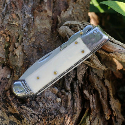Folding Tactical Knife with Beef Bone Grip for Camping and Outdoor Use